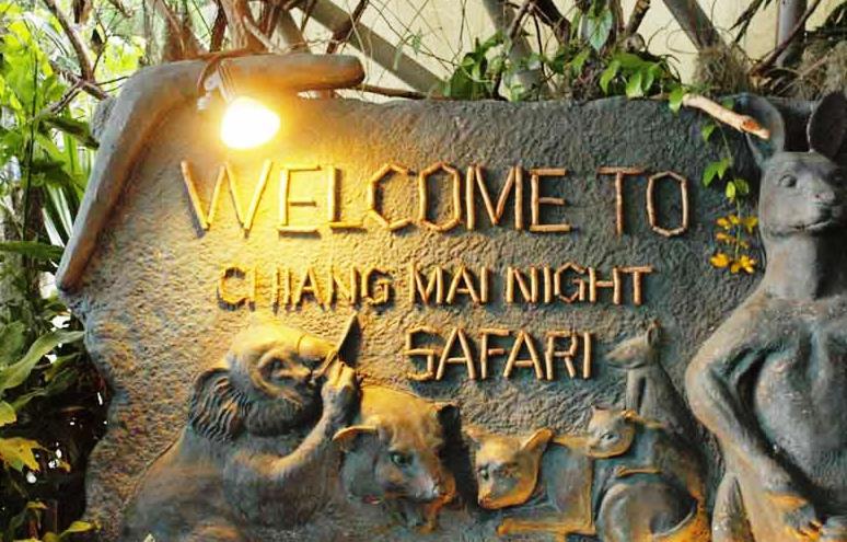 Chiangmai Night Safari Resort Chiang Mai Exterior photo