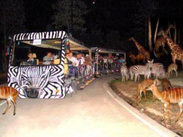 Chiangmai Night Safari Resort Chiang Mai Exterior photo